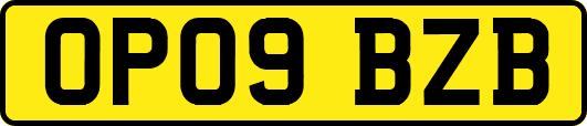 OP09BZB