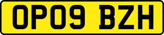 OP09BZH