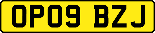 OP09BZJ