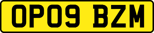 OP09BZM