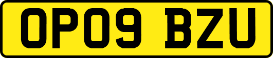 OP09BZU