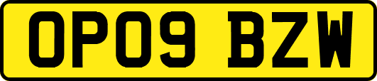 OP09BZW