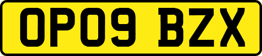OP09BZX