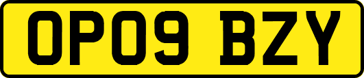OP09BZY
