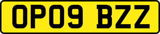 OP09BZZ