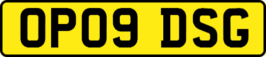OP09DSG