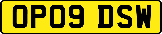 OP09DSW