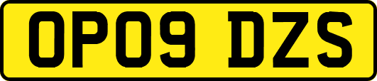 OP09DZS
