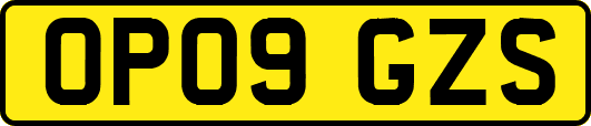 OP09GZS