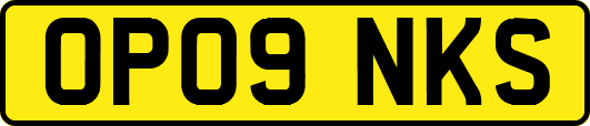 OP09NKS
