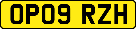 OP09RZH