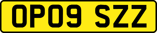 OP09SZZ