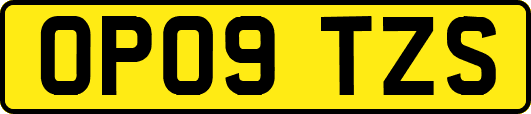 OP09TZS