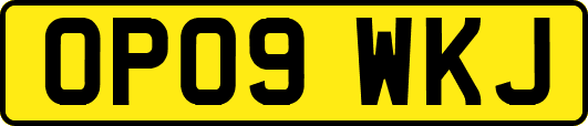 OP09WKJ