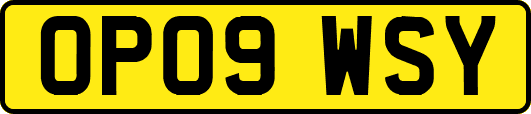 OP09WSY