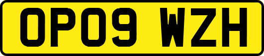 OP09WZH