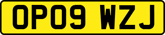 OP09WZJ