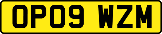 OP09WZM