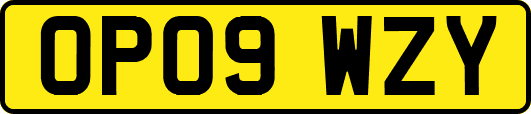 OP09WZY