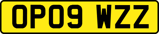 OP09WZZ
