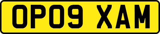 OP09XAM