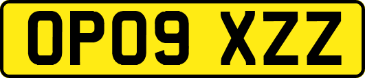 OP09XZZ