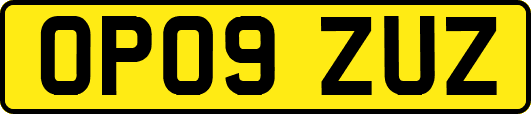 OP09ZUZ