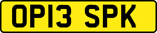 OP13SPK