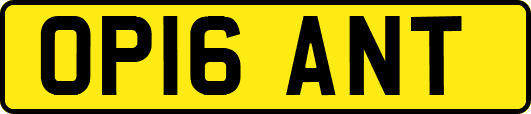 OP16ANT