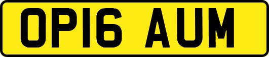 OP16AUM