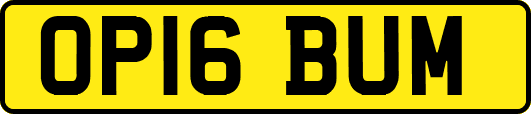 OP16BUM