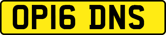 OP16DNS