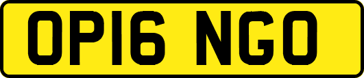 OP16NGO