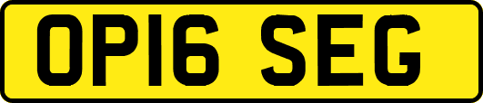 OP16SEG
