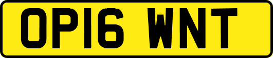 OP16WNT