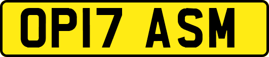 OP17ASM