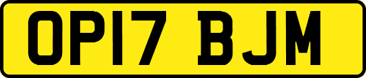 OP17BJM