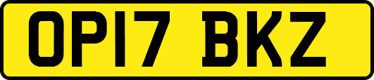 OP17BKZ
