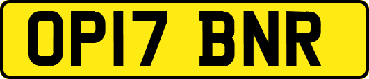OP17BNR