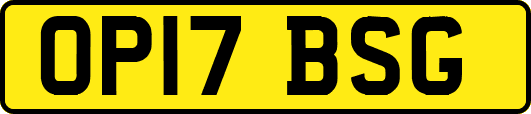 OP17BSG