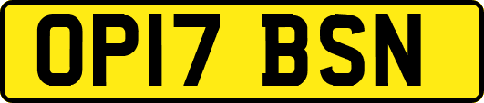 OP17BSN