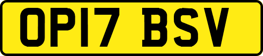OP17BSV