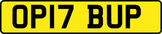 OP17BUP