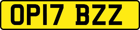 OP17BZZ