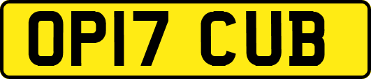 OP17CUB