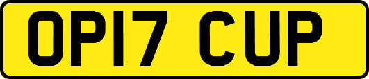 OP17CUP