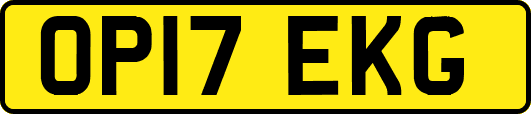 OP17EKG