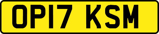 OP17KSM