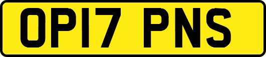 OP17PNS
