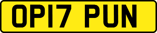 OP17PUN